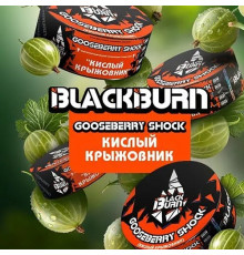 Табак Burn BLACK Gooseberry shock, 25 гр.