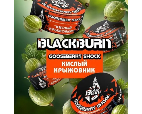 Табак Burn BLACK Gooseberry shock, 25 гр.