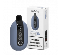 Одноразовая ЭС PLONQ ULTRA - Черника хвоя (12000)