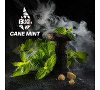 Табак Burn BLACK Cane Mint (Тросниковая мята), 100 г
