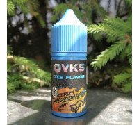 Ароматизатор QVKS ICE - Хвоя Мандарин