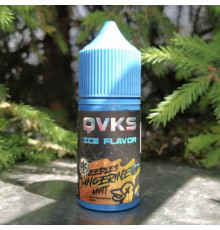 Ароматизатор QVKS ICE - Хвоя Мандарин