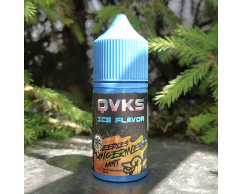 Ароматизатор QVKS ICE - Хвоя Мандарин