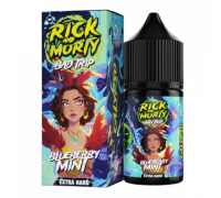 Жидкость Rick & Morty Bad Trip Черника мята, 30 мл.