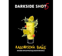 Табак Dark Side Shot Ладожский вайб, 30 гр.